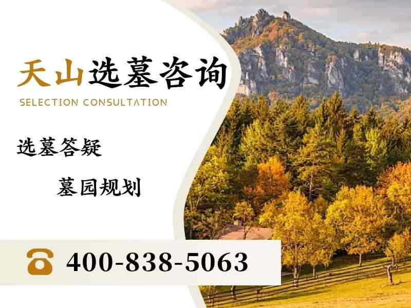 天山陵园戈壁石墓碑的粗粝质感：匠心独运的设计选择